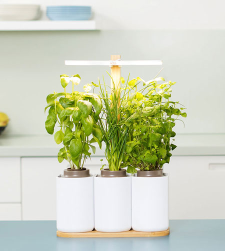 Le potager d'intérieur Lilo, de Prêt à Pousser