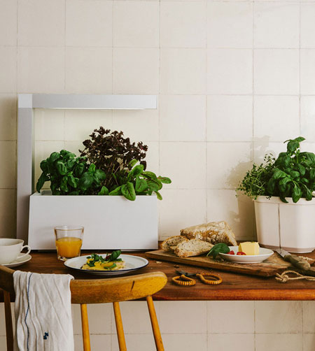 Potager d'intérieur Herbie