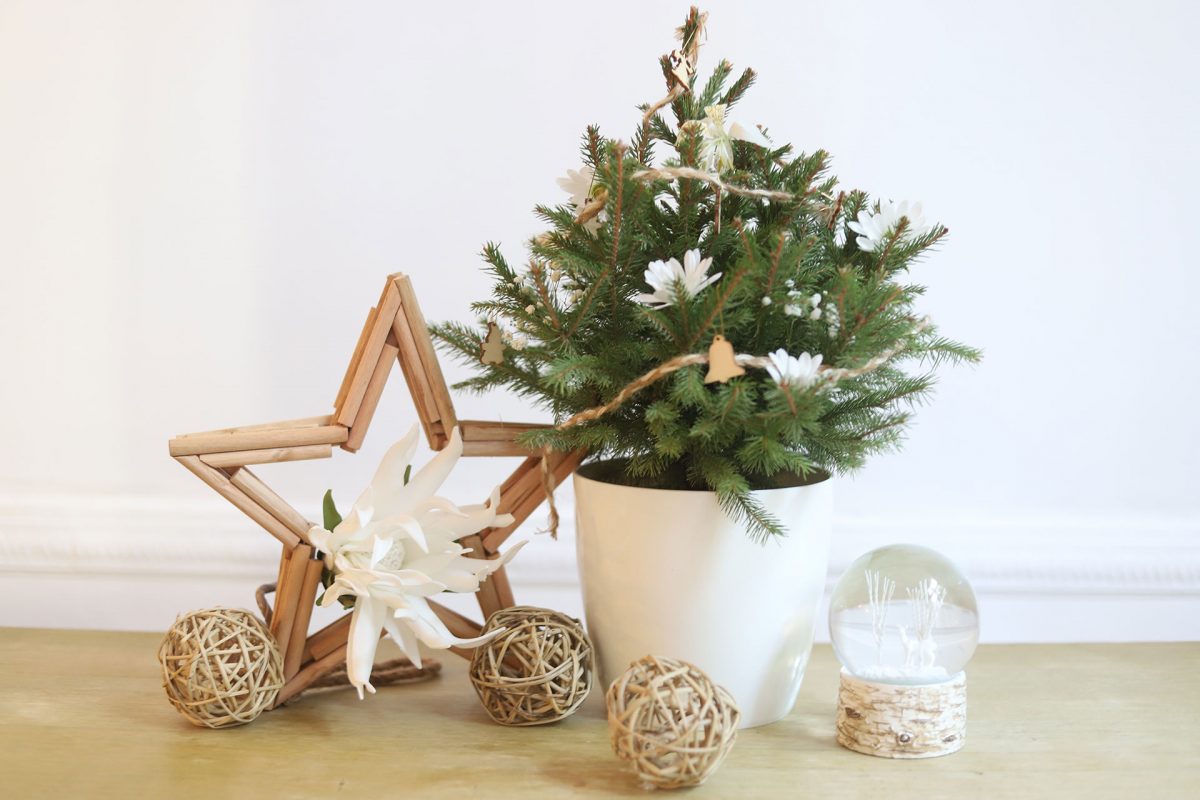 décoration de noël responsable, petit sapin