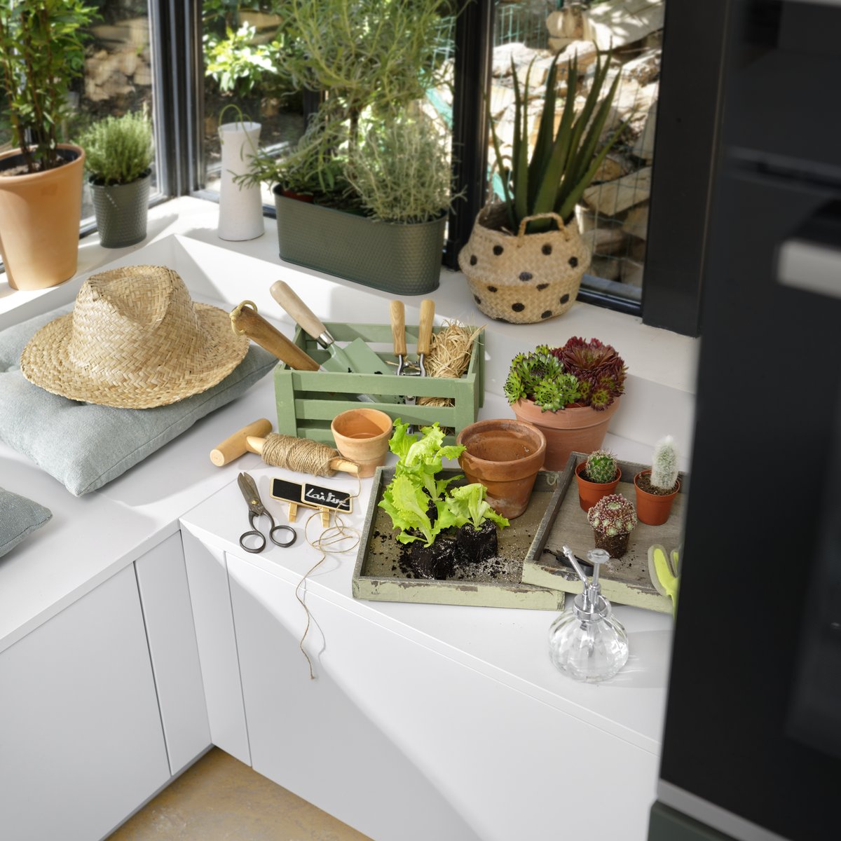 Pour les jardiniers en herbe ou confirmés, Schmidt a imaginé dans cette cuisine un espace pour rempoter, bouturer et tailler ses plantes…