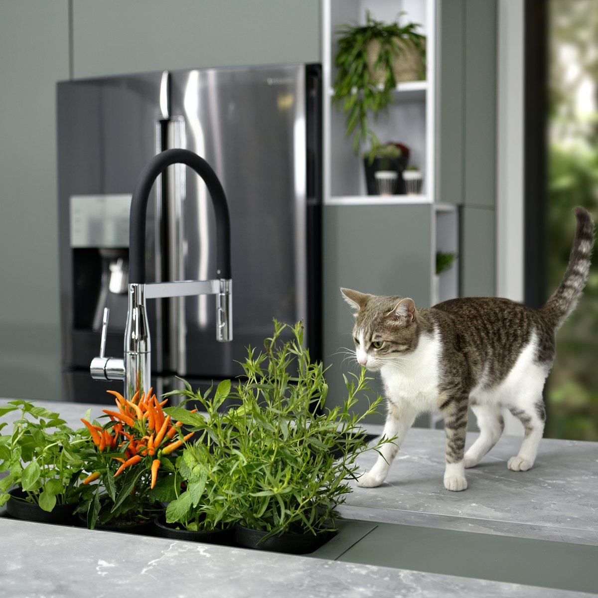 Avec cet aménagement sur mesure, Schmidt fait entrer la nature à domicile en permettant de faire pousser ses plantes aromatiques et petits légumes maison.