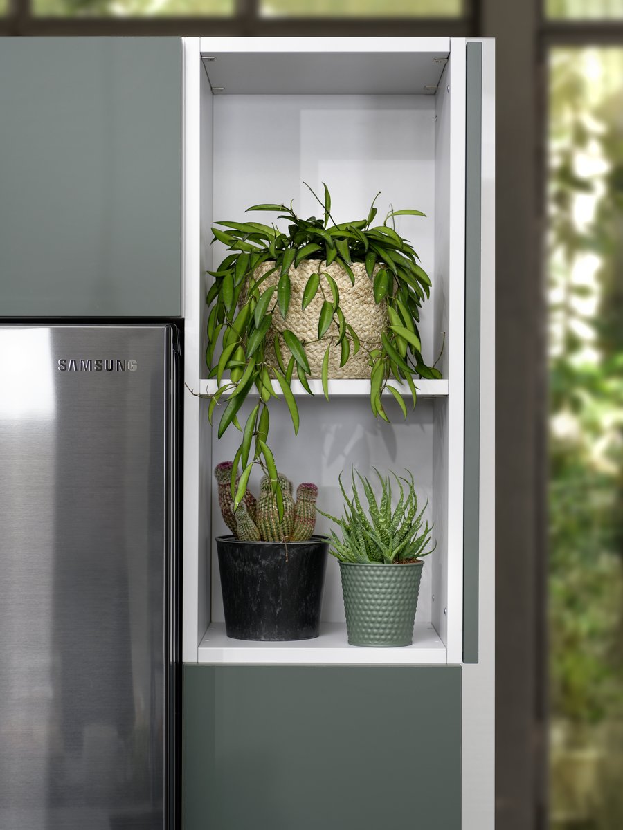 Plantes grasses ou plantes grimpantes, tous deux peuvent trouver place dans ces niches ouvertes.