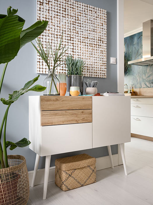 Une grande plante pour donner de la vie dans votre salon.