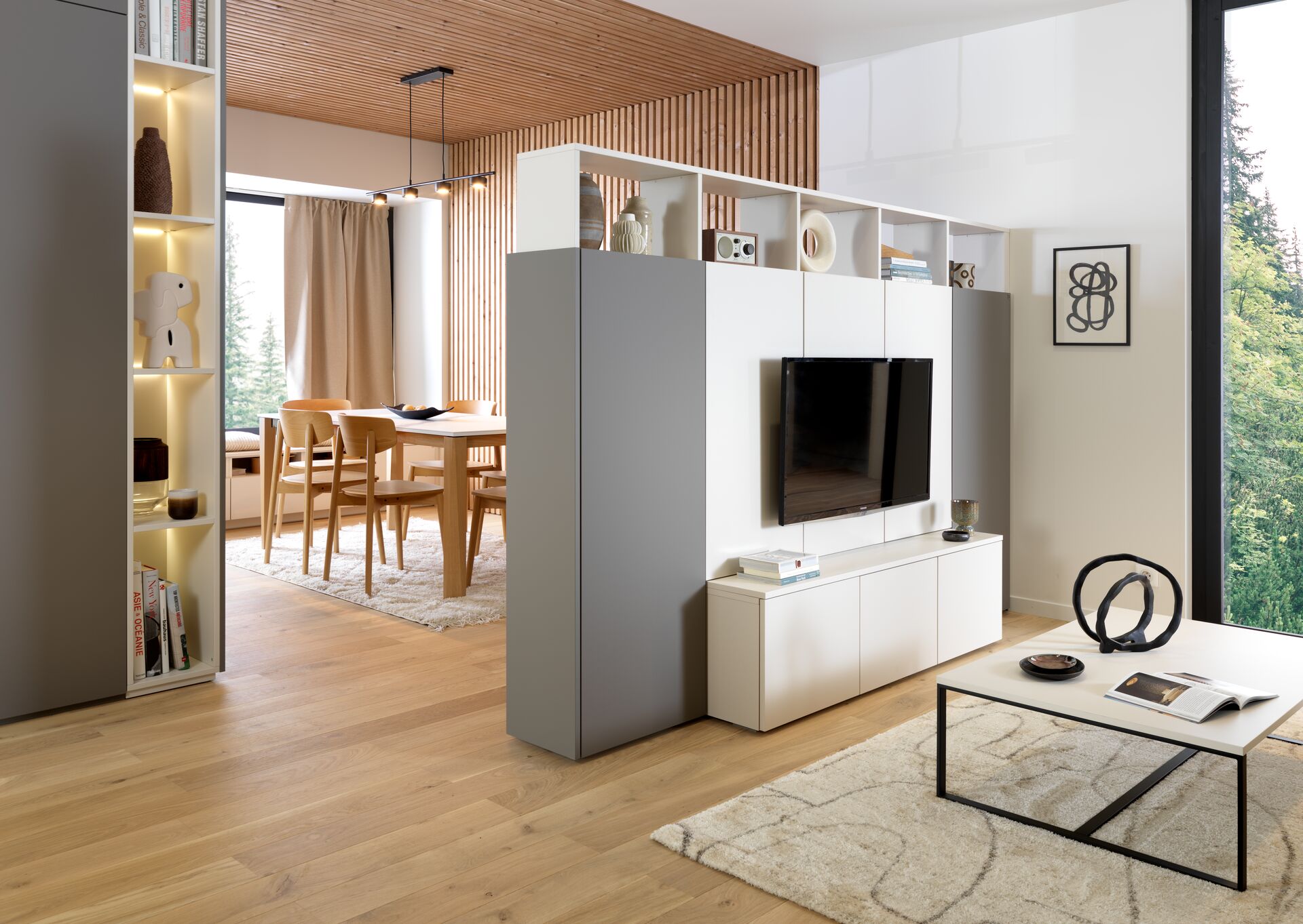 Salon avec TV