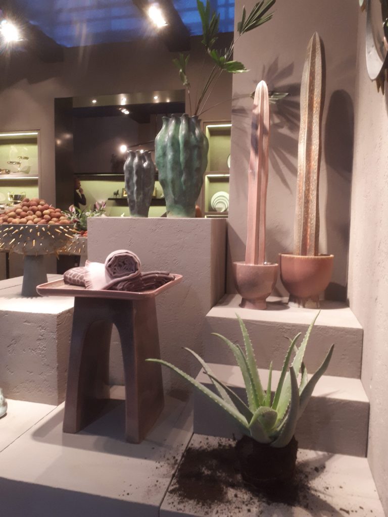 Plantes grasses chez L’Objet