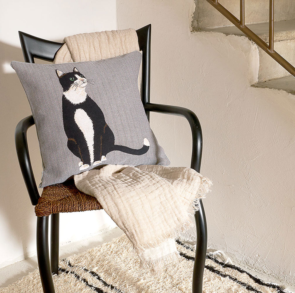 Iosis & son coussin avec un petit chat