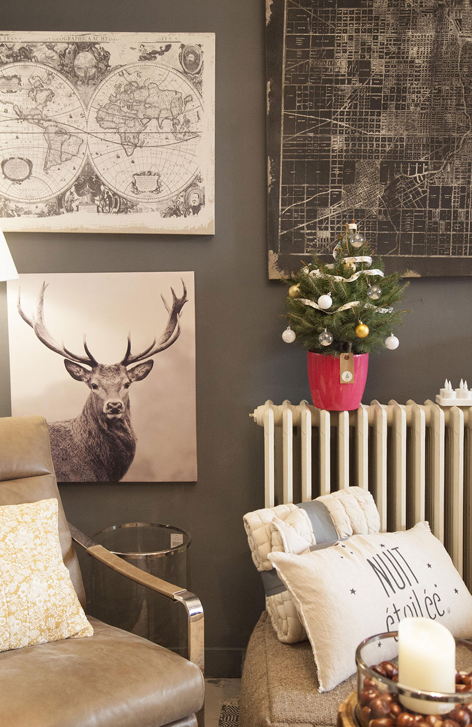 petit sapin en pôt pour Noël