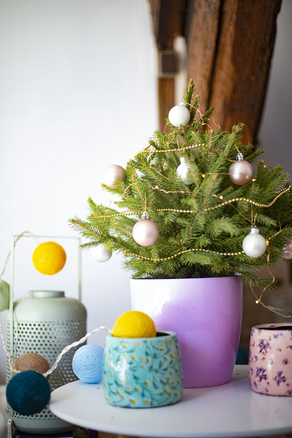 petit sapin en pôt pour Noël