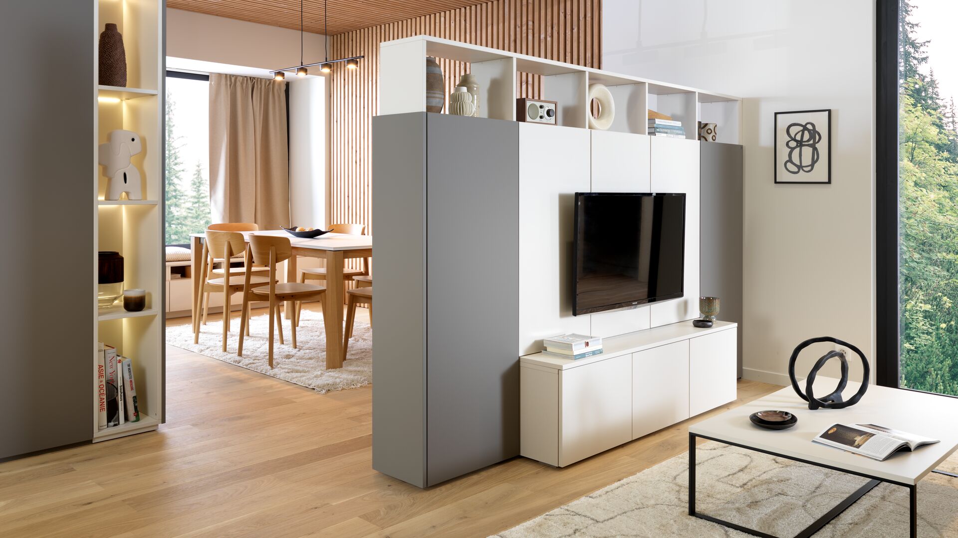 Salon et meuble TV